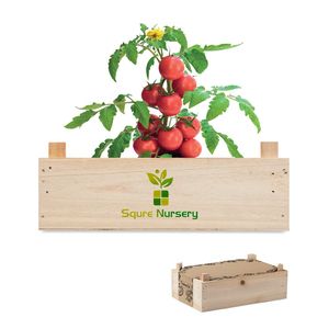 TOMATO Graines de tomates dans caisset