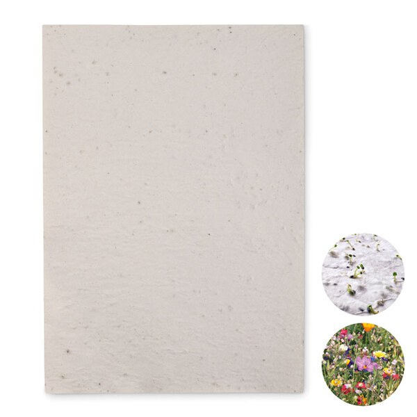 ASIDI Papier A4 graines de fleurs - GiftRetail MO6914