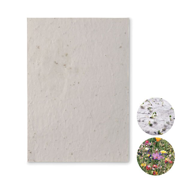 ASIDE Papier A5 graines de fleurs - GiftRetail MO6915