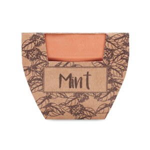 MINT POT Terracotta Mint Grow Kit with Seeds and Soil Tablet - GiftRetail MO2218