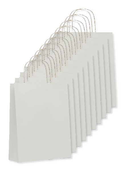 Pack de 10 GiftRetail MO6173 - PAPER TONE M Sac en papier moyen format