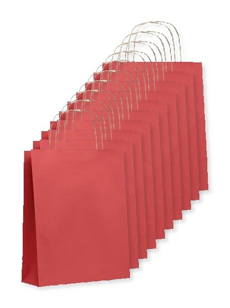 Pack of 10 GiftRetail MO6172 - PAPER TONE S Eco-Friendly Small Kraft Paper Gift Bags with Handles