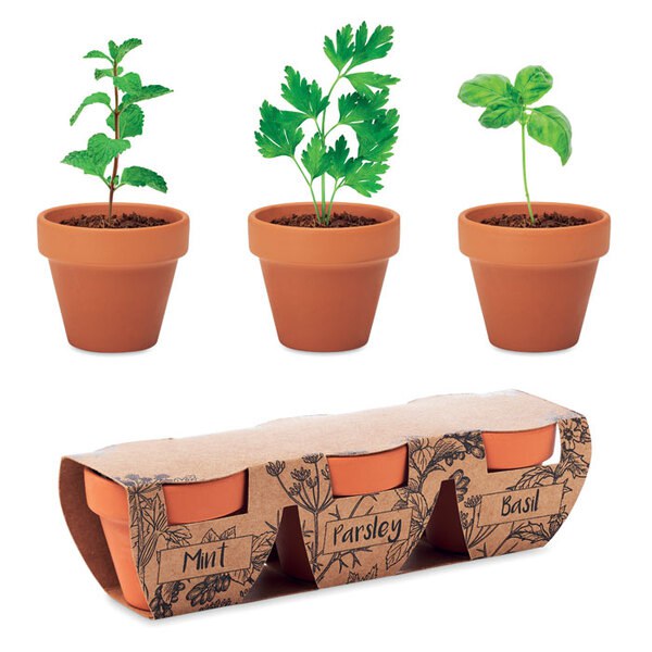 FLOWERPOT 3 pots en terre - GiftRetail MO6145
