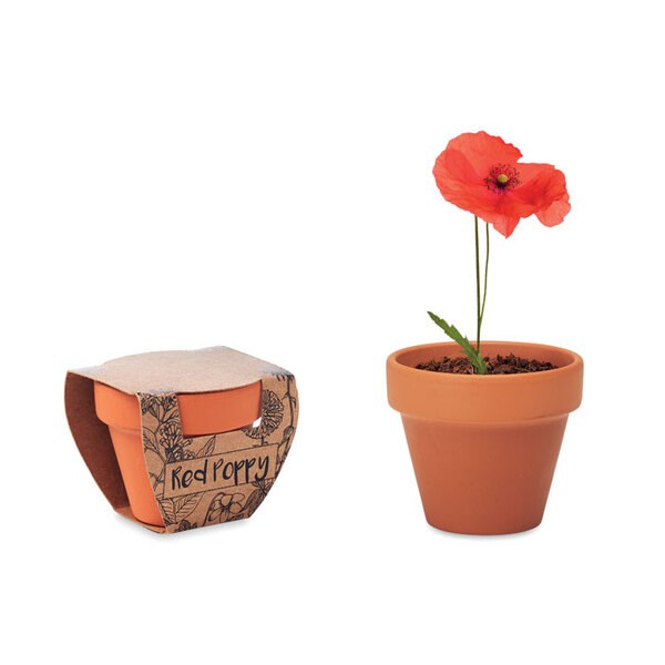 RED POPPY Pot graines de coquelicot - GiftRetail MO6148
