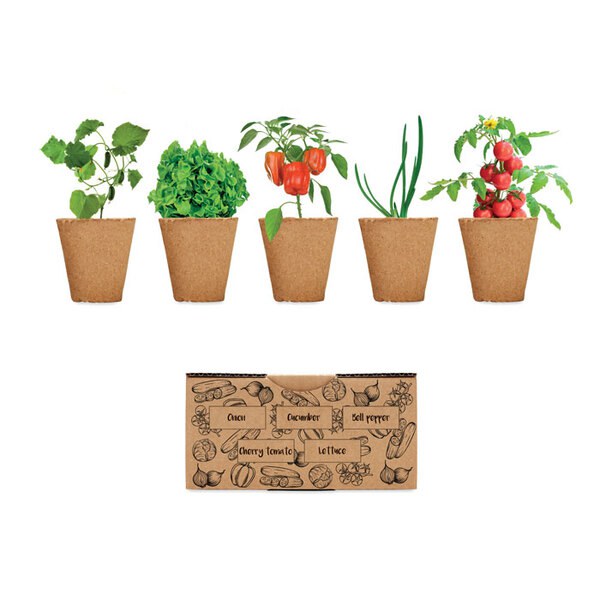 SALAD Kit de culture de salade - GiftRetail MO6499