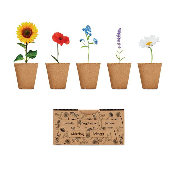 FLOWERS Kit de culture de fleurs - GiftRetail MO6500