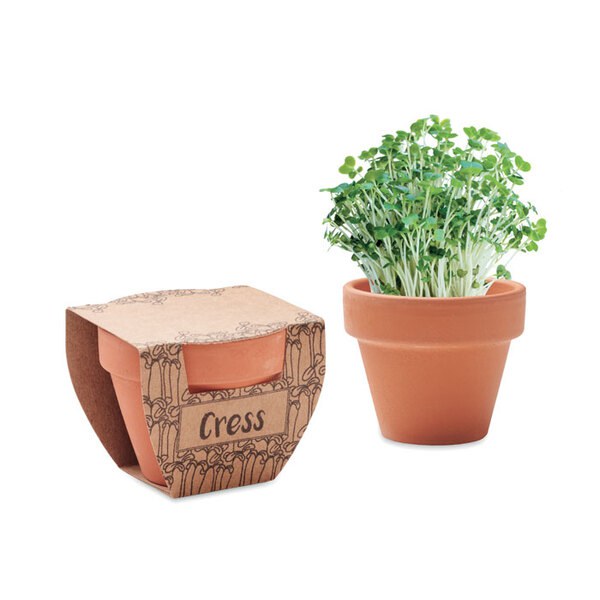CRESS POT Pot avec graines de cresson - GiftRetail MO2219