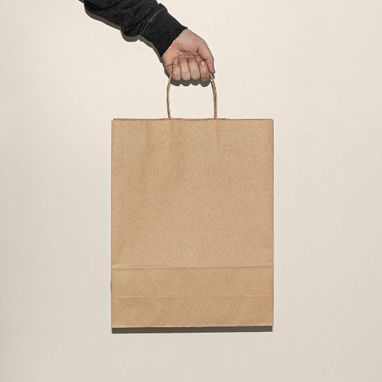 Sac papier 100 gr/m² poignées torsadées KALI