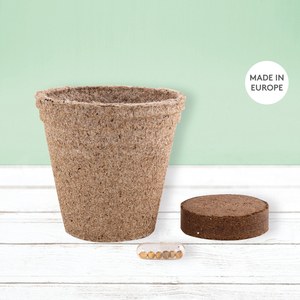 Goya 52080K - Pot biodégradable avec capsule de graines CERES