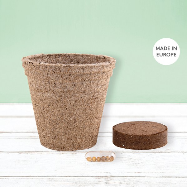Goya 52080K - Biodegradable Herb Pot: Chives, Basil, Oregano CERES