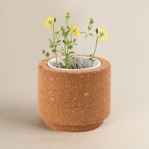 Goya 53531K - Pot en liège avec graine fleurs sauvages LUWA
