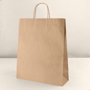 Goya 53581 - Sac Kraft 120 gr/m² Poignée Torsadée FSC AYSEN